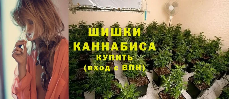 Бошки марихуана White Widow  даркнет телеграм  Апрелевка  магазин продажи   мега ONION 